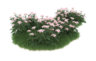 Realistic foliage isolated on transparent background. 3d rendering - illustration png