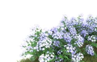 Realistic foliage isolated on transparent background. 3d rendering - illustration png