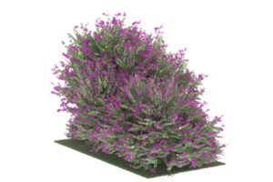 forêt réaliste isolée sur fond transparent. rendu 3d - illustration png