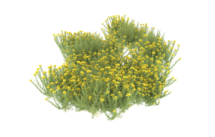 realistico fogliame isolato su trasparente sfondo. 3d interpretazione - illustrazione png