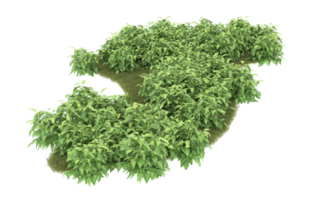 Realistic foliage isolated on transparent background. 3d rendering - illustration png