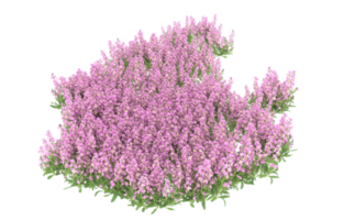 Realistic foliage isolated on transparent background. 3d rendering - illustration png