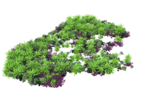 Realistic foliage isolated on transparent background. 3d rendering - illustration png