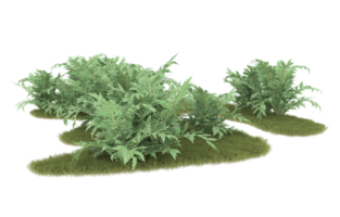 Realistic foliage isolated on transparent background. 3d rendering - illustration png