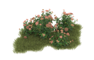 Realistic foliage isolated on transparent background. 3d rendering - illustration png