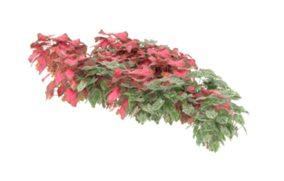 Realistic foliage isolated on transparent background. 3d rendering - illustration png