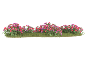 Realistic foliage isolated on transparent background. 3d rendering - illustration png