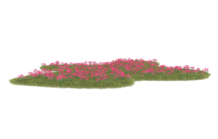 Realistic foliage isolated on transparent background. 3d rendering - illustration png