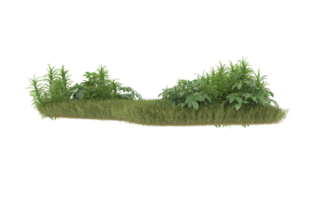 Realistic foliage isolated on transparent background. 3d rendering - illustration png