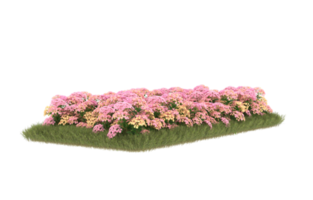 Realistic foliage isolated on transparent background. 3d rendering - illustration png