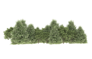 Realistic foliage isolated on transparent background. 3d rendering - illustration png