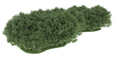 realistico foresta isolato su trasparente sfondo. 3d interpretazione - illustrazione png