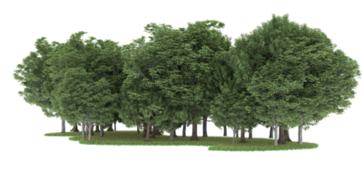 forêt réaliste isolée sur fond transparent. rendu 3d - illustration png