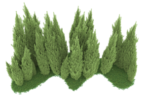 forêt réaliste isolée sur fond transparent. rendu 3d - illustration png