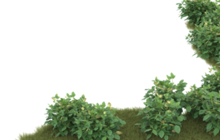 Realistic foliage isolated on transparent background. 3d rendering - illustration png