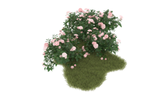 Realistic foliage isolated on transparent background. 3d rendering - illustration png