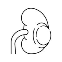 ilustración de vector de icono de línea de quiste renal