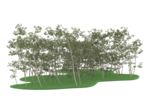 forêt réaliste isolée sur fond transparent. rendu 3d - illustration png