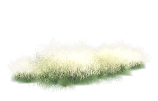 Realistic foliage isolated on transparent background. 3d rendering - illustration png