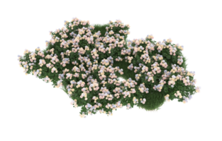 Realistic foliage isolated on transparent background. 3d rendering - illustration png