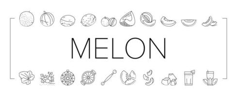melon cantaloupe yellow fruit icons set vector