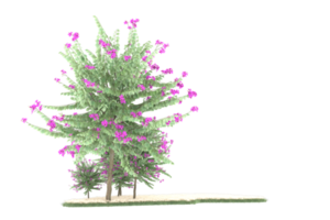 Realistic forest isolated on transparent background. 3d rendering - illustration png