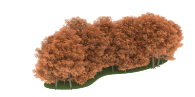 forêt réaliste isolée sur fond transparent. rendu 3d - illustration png