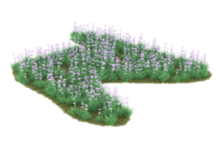 Realistic foliage isolated on transparent background. 3d rendering - illustration png