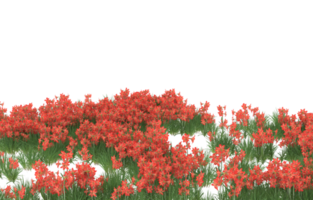 Realistic foliage isolated on transparent background. 3d rendering - illustration png