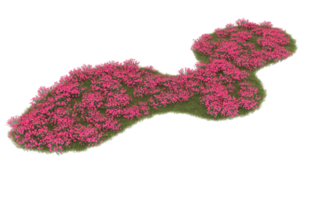 Realistic foliage isolated on transparent background. 3d rendering - illustration png