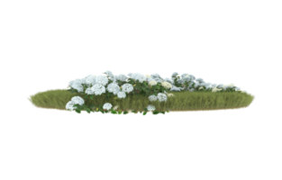 Realistic foliage isolated on transparent background. 3d rendering - illustration png