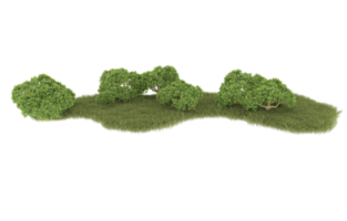 Realistic foliage isolated on transparent background. 3d rendering - illustration png