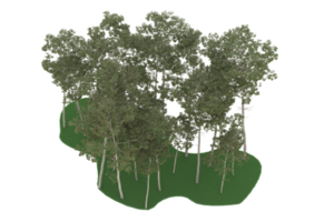 Realistic forest isolated on transparent background. 3d rendering - illustration png