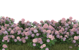 Realistic foliage isolated on transparent background. 3d rendering - illustration png