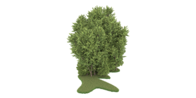 Realistic forest isolated on transparent background. 3d rendering - illustration png