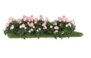 Realistic foliage isolated on transparent background. 3d rendering - illustration png