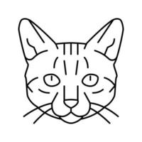 gato de bengala lindo mascota línea icono vector ilustración