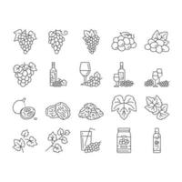 grape wine bunch fruit green icons set vector