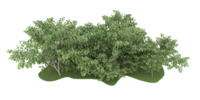 Realistic forest isolated on transparent background. 3d rendering - illustration png