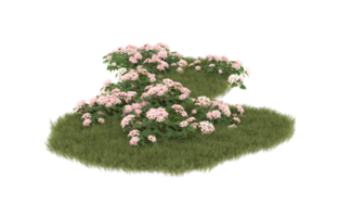 Realistic foliage isolated on transparent background. 3d rendering - illustration png