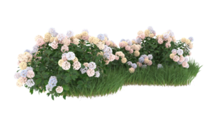 Realistic foliage isolated on transparent background. 3d rendering - illustration png