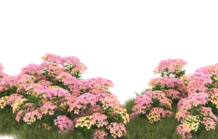 Realistic foliage isolated on transparent background. 3d rendering - illustration png