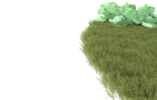 Realistic foliage isolated on transparent background. 3d rendering - illustration png