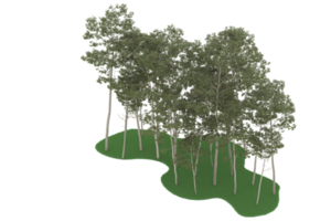 Realistic forest isolated on transparent background. 3d rendering - illustration png