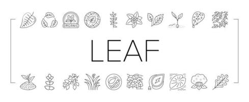 Leaf Branch Natural Foliage Tree Icons Set Vector