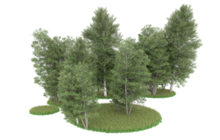 Realistic foliage isolated on transparent background. 3d rendering - illustration png