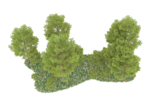 realistico foresta isolato su trasparente sfondo. 3d interpretazione - illustrazione png