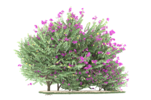 forêt réaliste isolée sur fond transparent. rendu 3d - illustration png