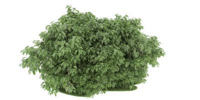 forêt réaliste isolée sur fond transparent. rendu 3d - illustration png