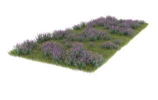 Realistic foliage isolated on transparent background. 3d rendering - illustration png